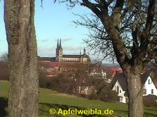 Blick von der Altenburger Strae zum Michelsberg