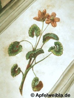 Leberbl�mchen (Deckengem�lde Michelsberg)