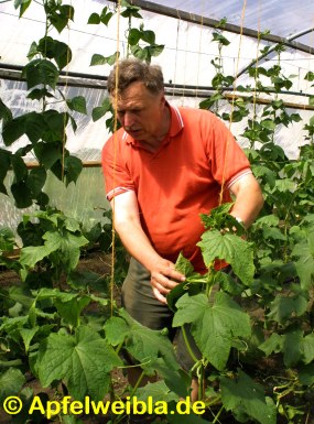 G�rtnermeister Heiner Neubauer