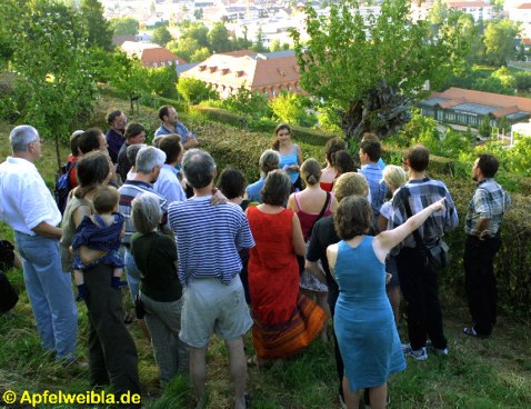 Die äusserliche Hämorrhoide geht vollständig