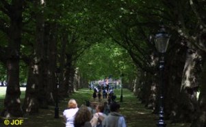 Platanenallee im Green Park/London