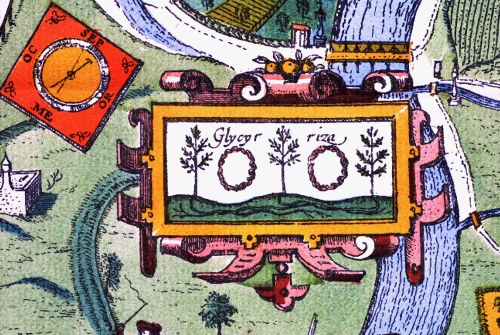 Sholz-Darstellung im Stadtplan von Braun-Hogenberg (1617)